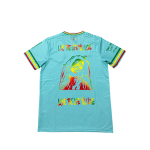 Ajax Amsterdam camiseta temporada 2025/26